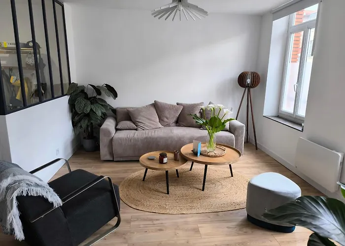 Appartement Spacieux Et Moderne, En Plein Centre